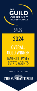 Guild Award Logo 2024_GOLD Overall_JDP